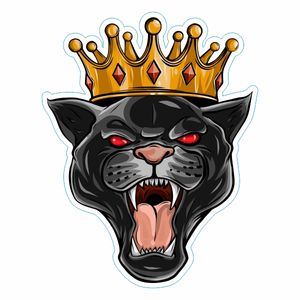 برچسب بدنه موتور سیکلت مدل king cat