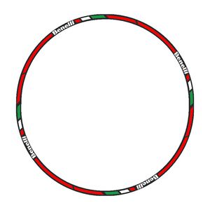 برچسب دور رینگ موتورسیکلت رایسان کد dm011br