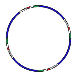 برچسب دور رینگ موتورسیکلت رایسان کد dm012bb