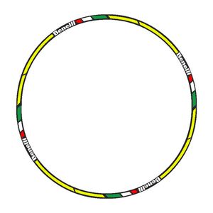 برچسب دور رینگ موتورسیکلت رایسان کد dm013by