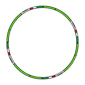 برچسب دور رینگ موتورسیکلت رایسان کد dm014bf