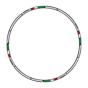 برچسب دور رینگ موتورسیکلت رایسان کد dm015bw