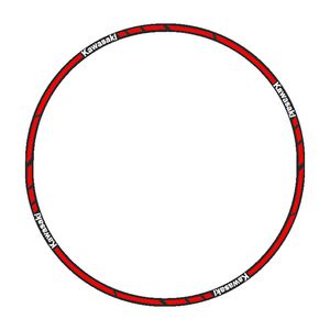 برچسب دور رینگ موتورسیکلت رایسان کد dm016kr