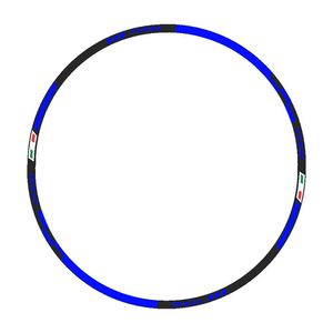 برچسب دوررینگ موتورسیکلت رایسان کد dm002b