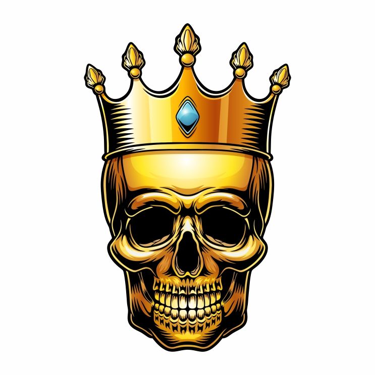 برچسب بدنه موتورسیکلت مدل king gold کد 65