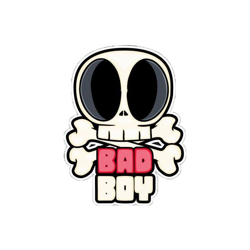 برچسب موتور سیکلت رایسان طرح اسکلت bad boy کد sm0102